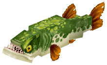 Pike