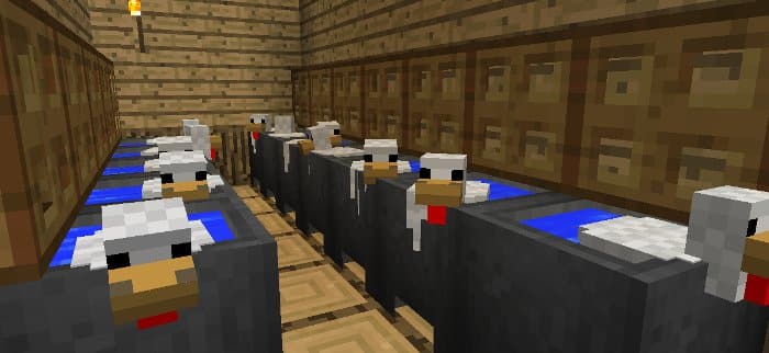 How to Farm Eggs in Minecraft