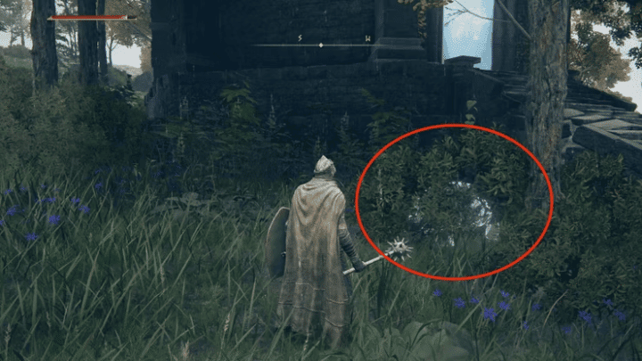 How To Seek Three Wise Beasts In Elden Ring? Puzzle Location