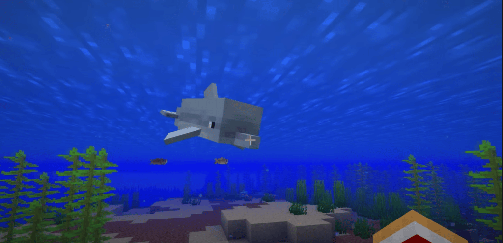 How To Tame A Dolphin In Minecraft?