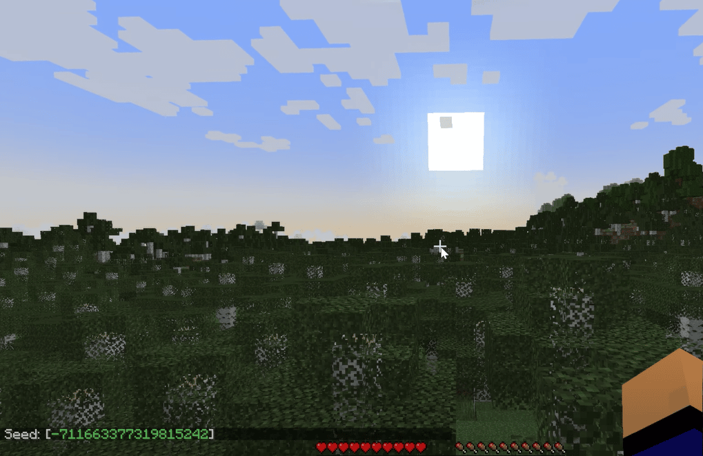 Minecraft Biome Finder: How To Use