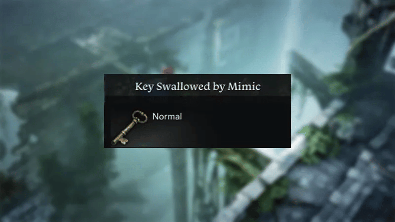 What Does the Key Swallowed by Mimic do in Lost Ark?