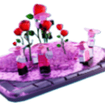 Speakerwomans Rose Farm