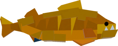 Countdown Perch Value in Fisch