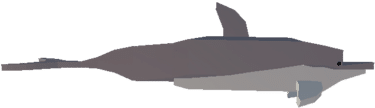 Dolphin Value in Fisch