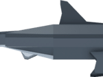 Great White Shark