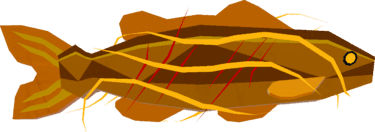 Hourglass Bass Value in Fisch