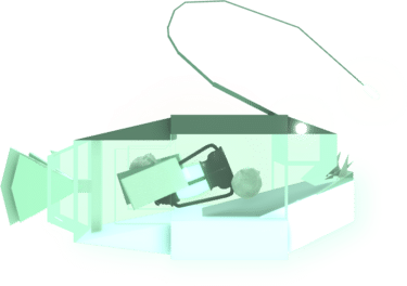 Lurkerfish Value in Fisch