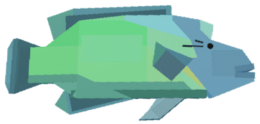 Napoleonfish Value in Fisch