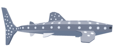 Whale Shark Value in Fisch