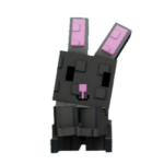 Black Bunny