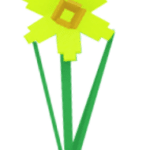 Daffodil