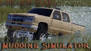 Mudding Simulator