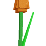 Orange Tulip