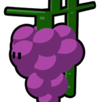 Grapes