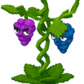 Grape Value & Wiki - Plants Vs Brainrots