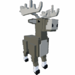Moose