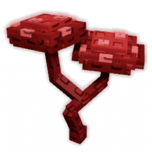 Bloodred Mushroom