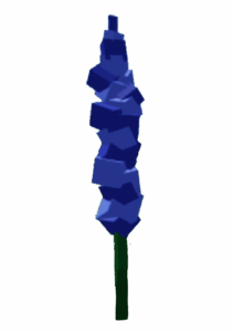 Delphinium