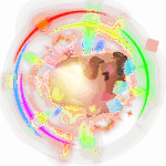 Rainbow Hotdog Daschund